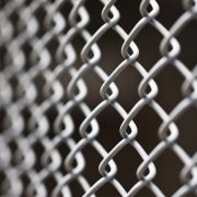 Chain link