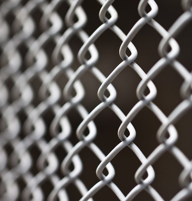 Chain link